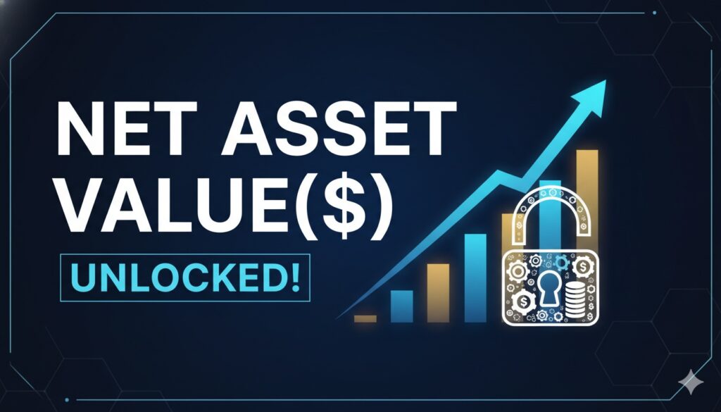 Graph illustrating net asset value calculation components for investment funds